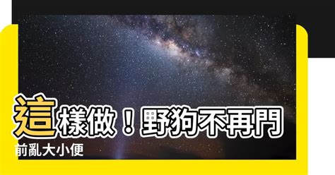 如何不讓狗來大便|誰知道讓狗不再到我家門口大便的方法？？？